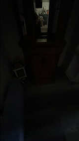 Corner Curio Cabinet - Image 3