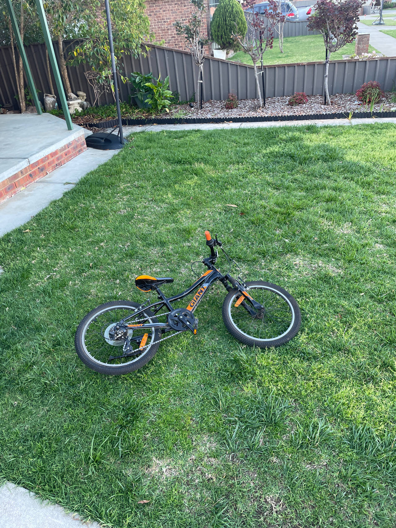 Giant kids' bike
