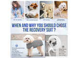 LUKOVEE Recovery Suit for Dogs Medium, Onesie Surgery Recovery Suit For Male Dog - Image 3