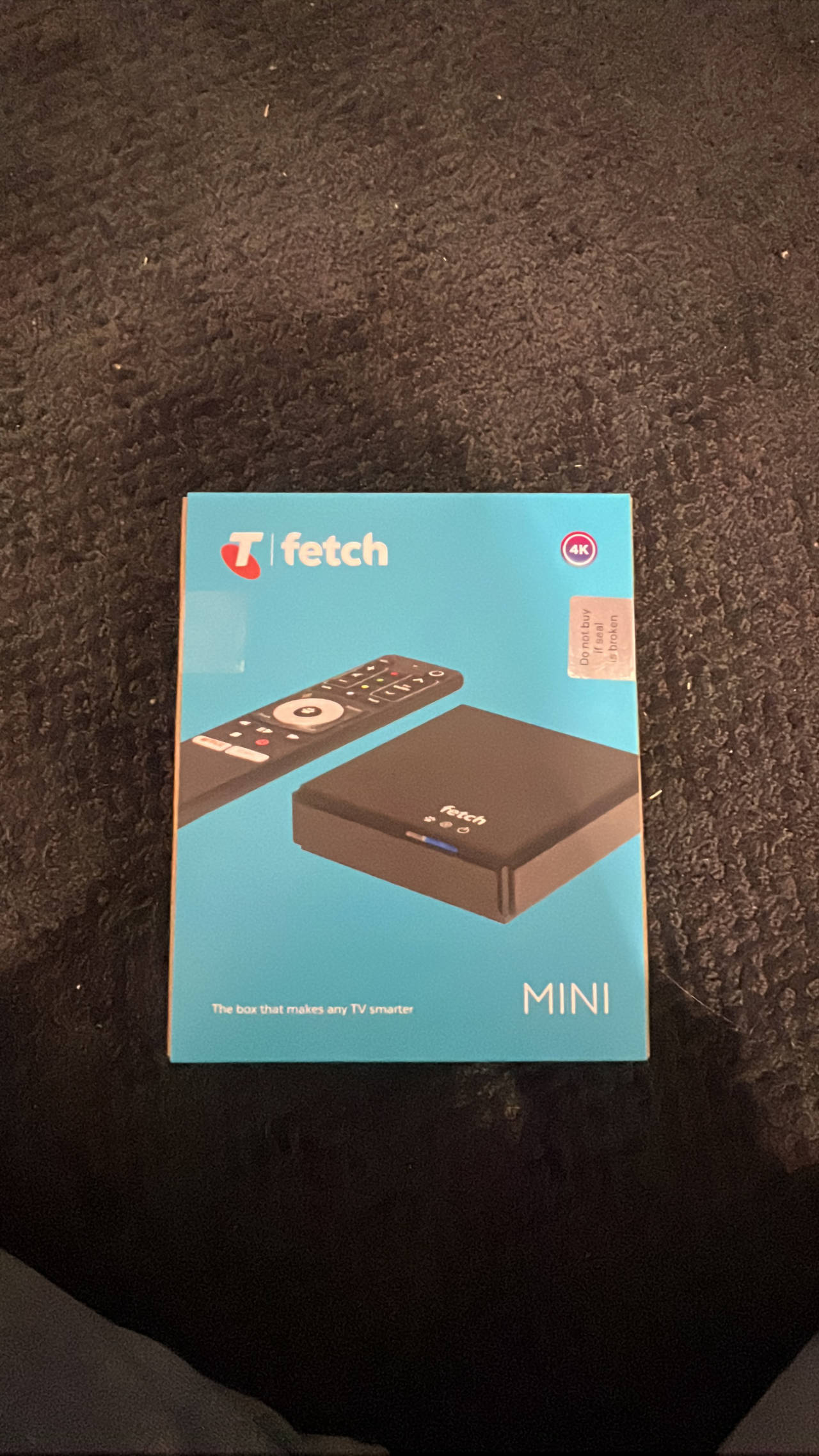 Fetch Mini 4K