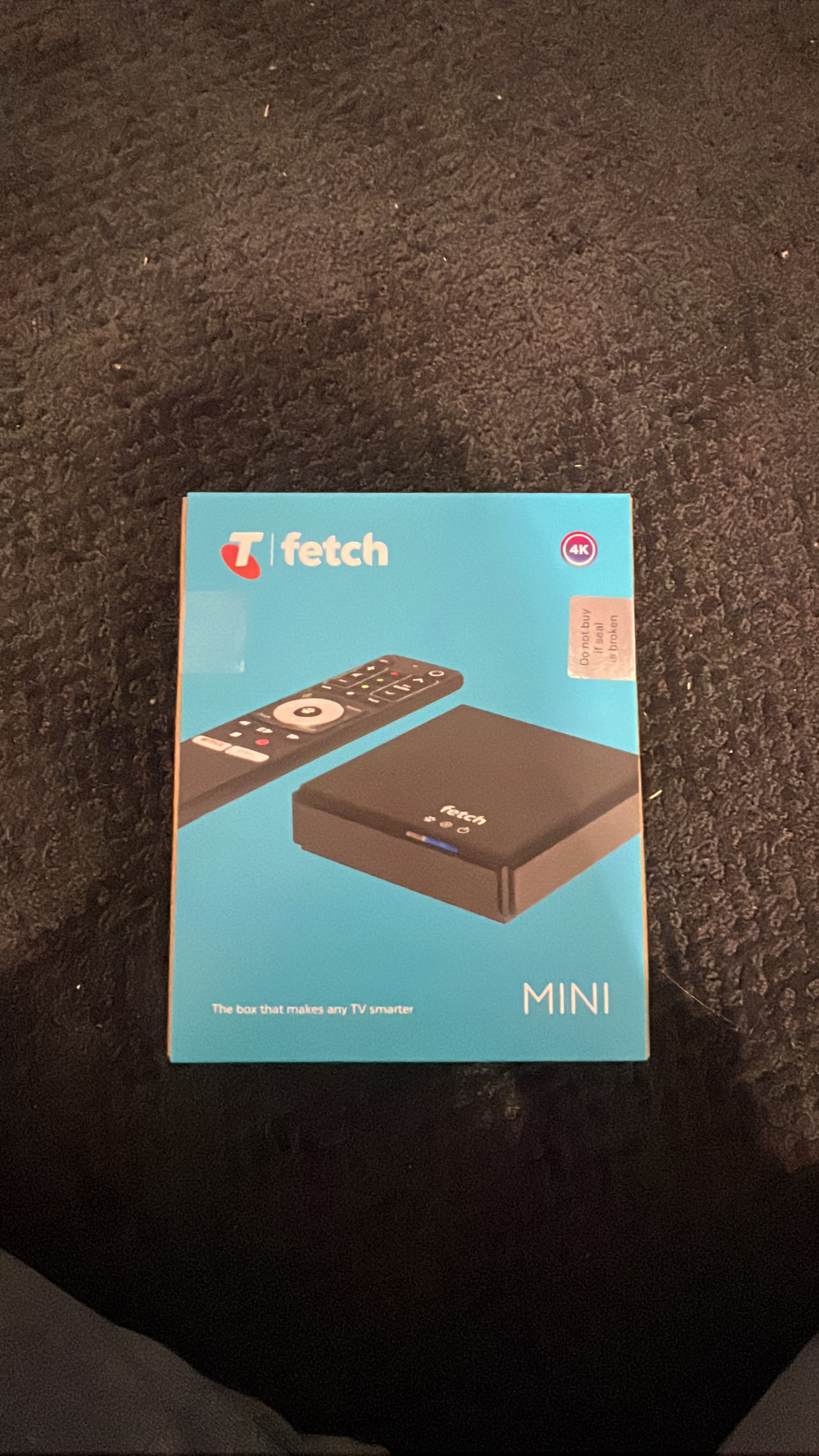 Fetch Mini 4K