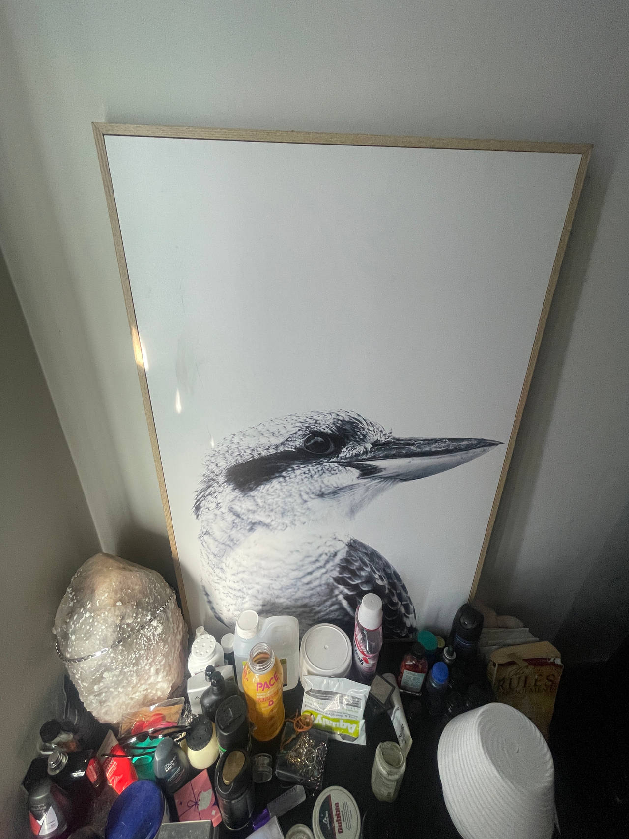 Kookaburra Wall Art Print