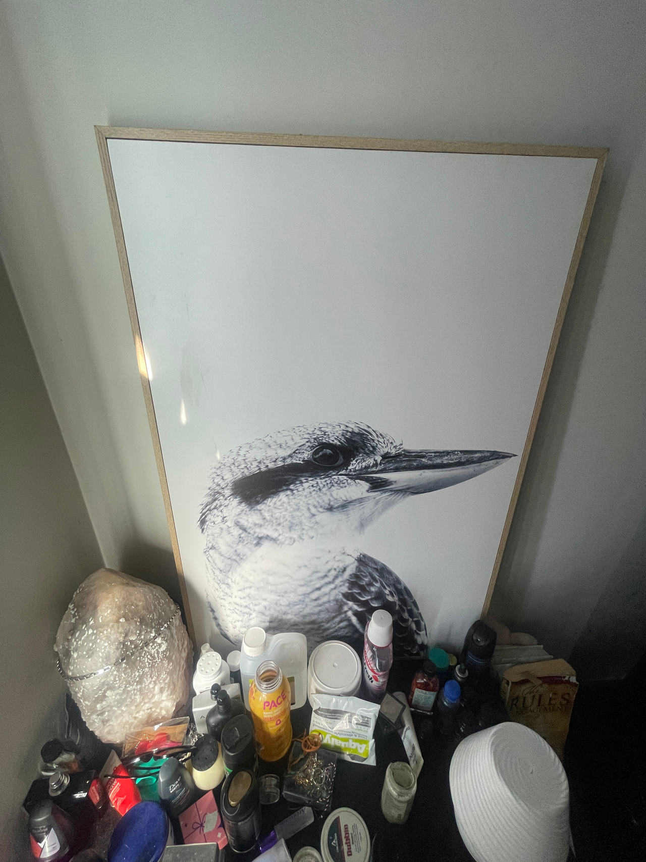 Kookaburra Wall Art Print