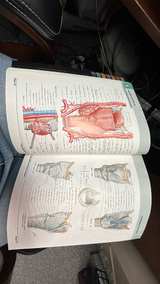 Atlas of Human Anatomy by Frank H. Netter, MD (5th Edition) - Image 4