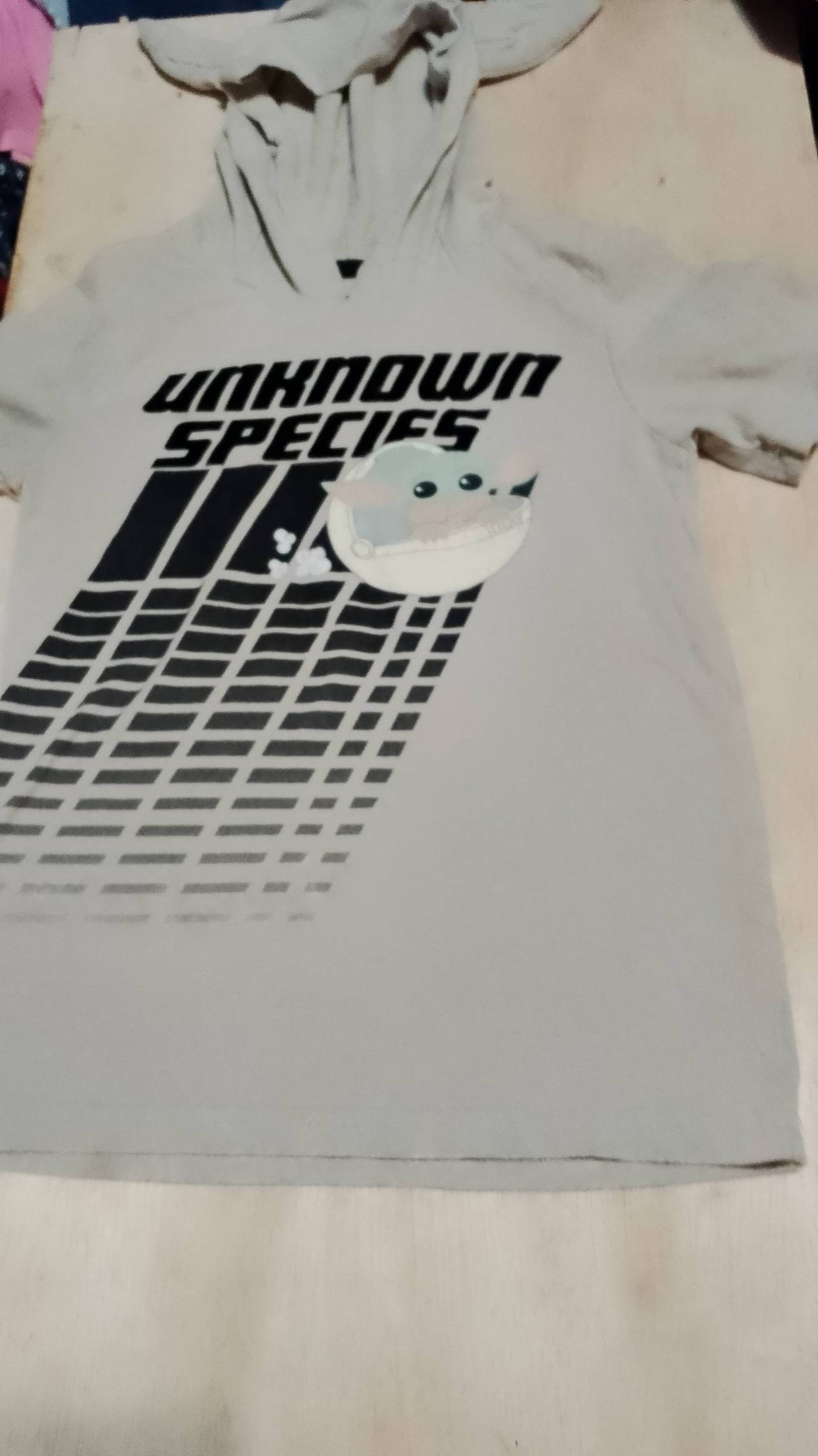 Star Wars Grogu Unknown Species Short Sleeve Hoodie 5T