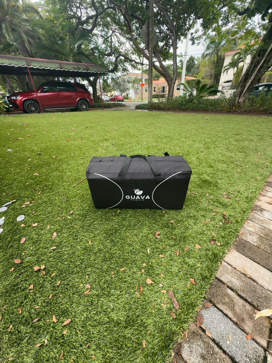 Guava Lotus Travel Crib Portable Backpack