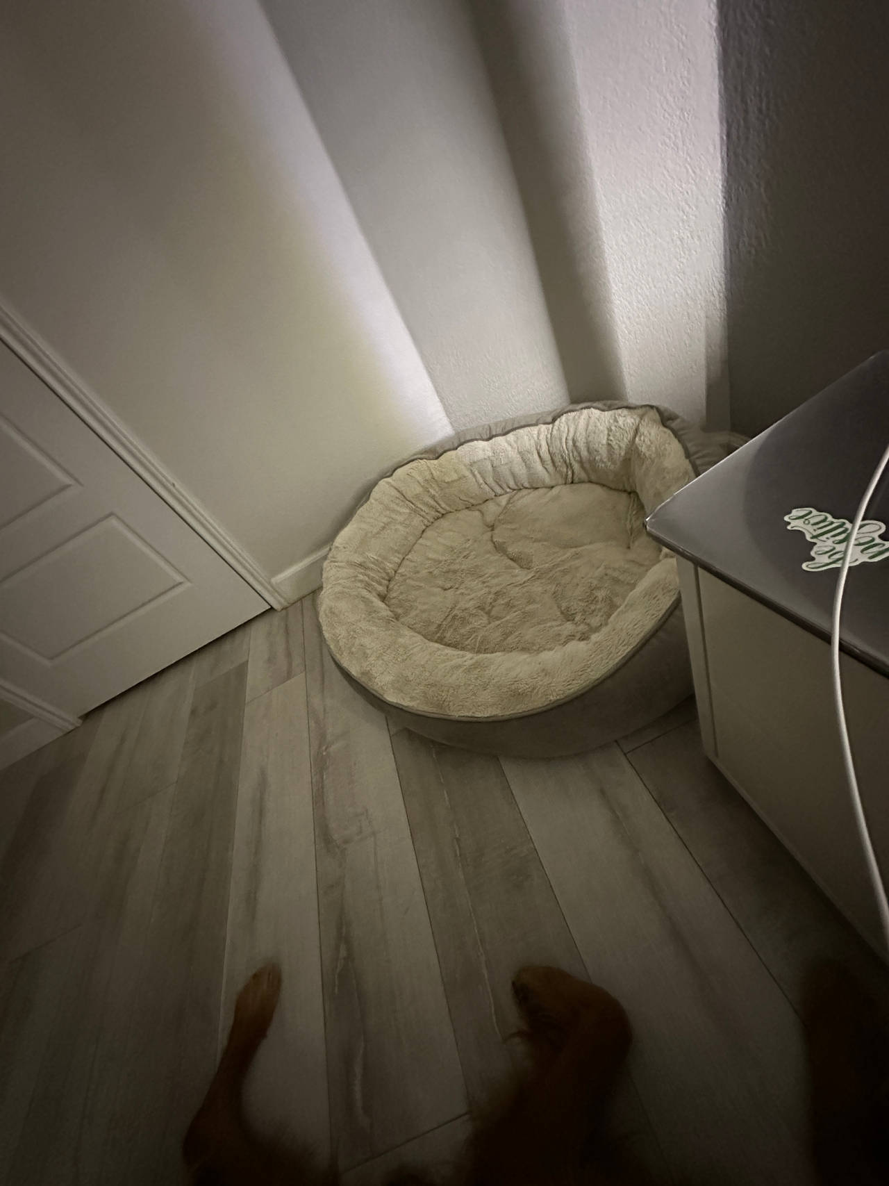 Round Bolster Dog Bed