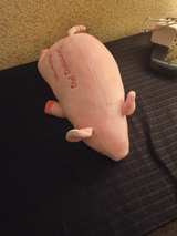 Bahamas Swimming Pig Plush Toy - Image 2