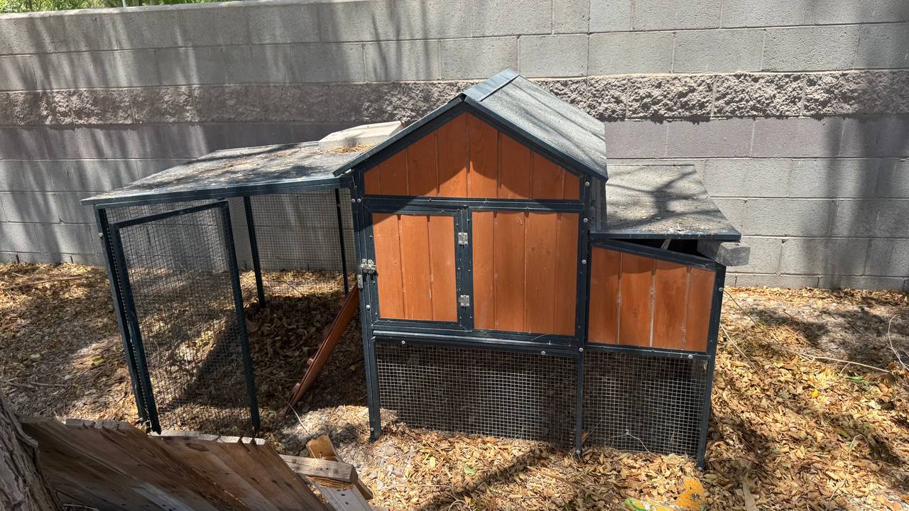 Wooden Chicken Coop with Run and Nesting Box
