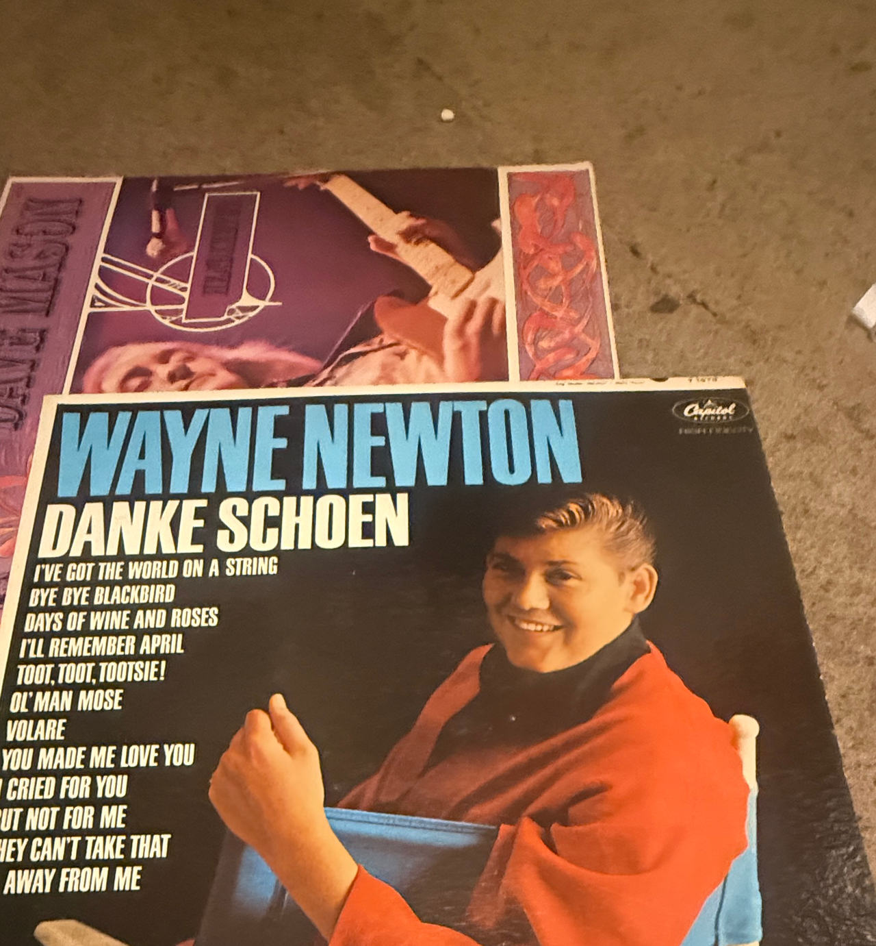 Wayne Newton - Danke Schoen Vinyl Record