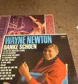 Wayne Newton - Danke Schoen Vinyl Record - Image 1