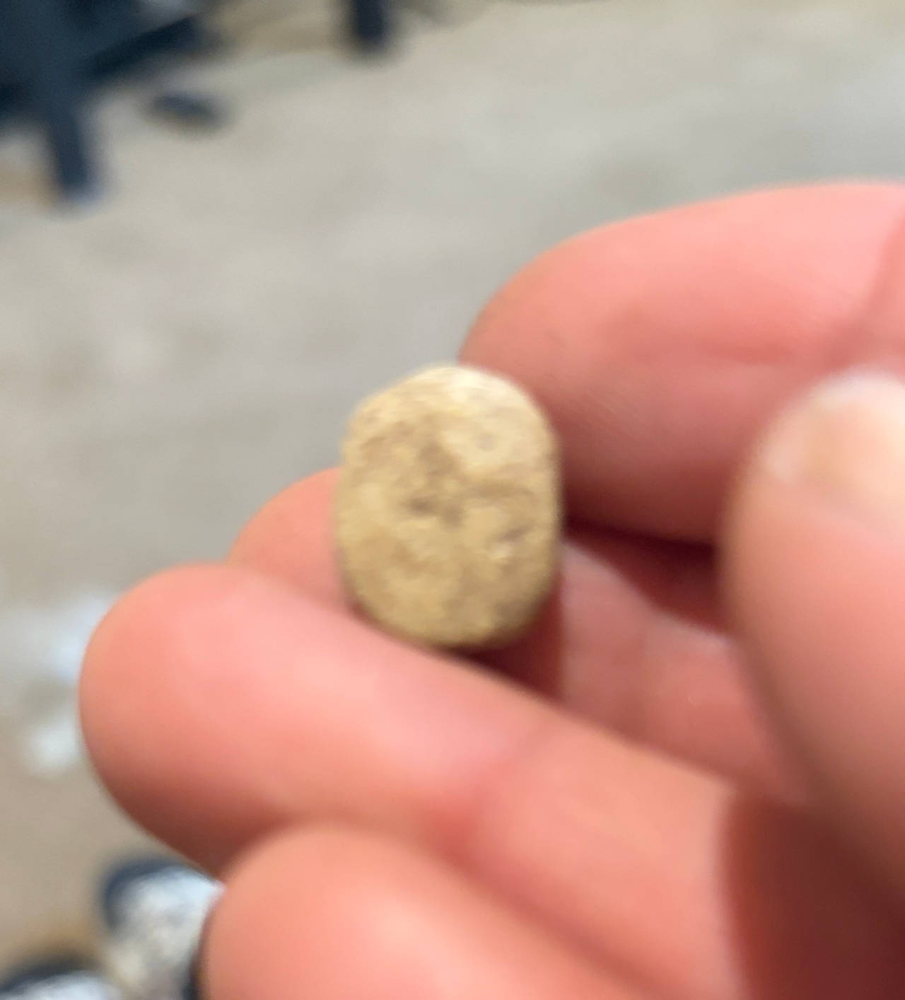 Ancient Egyptian Scarab Amulet