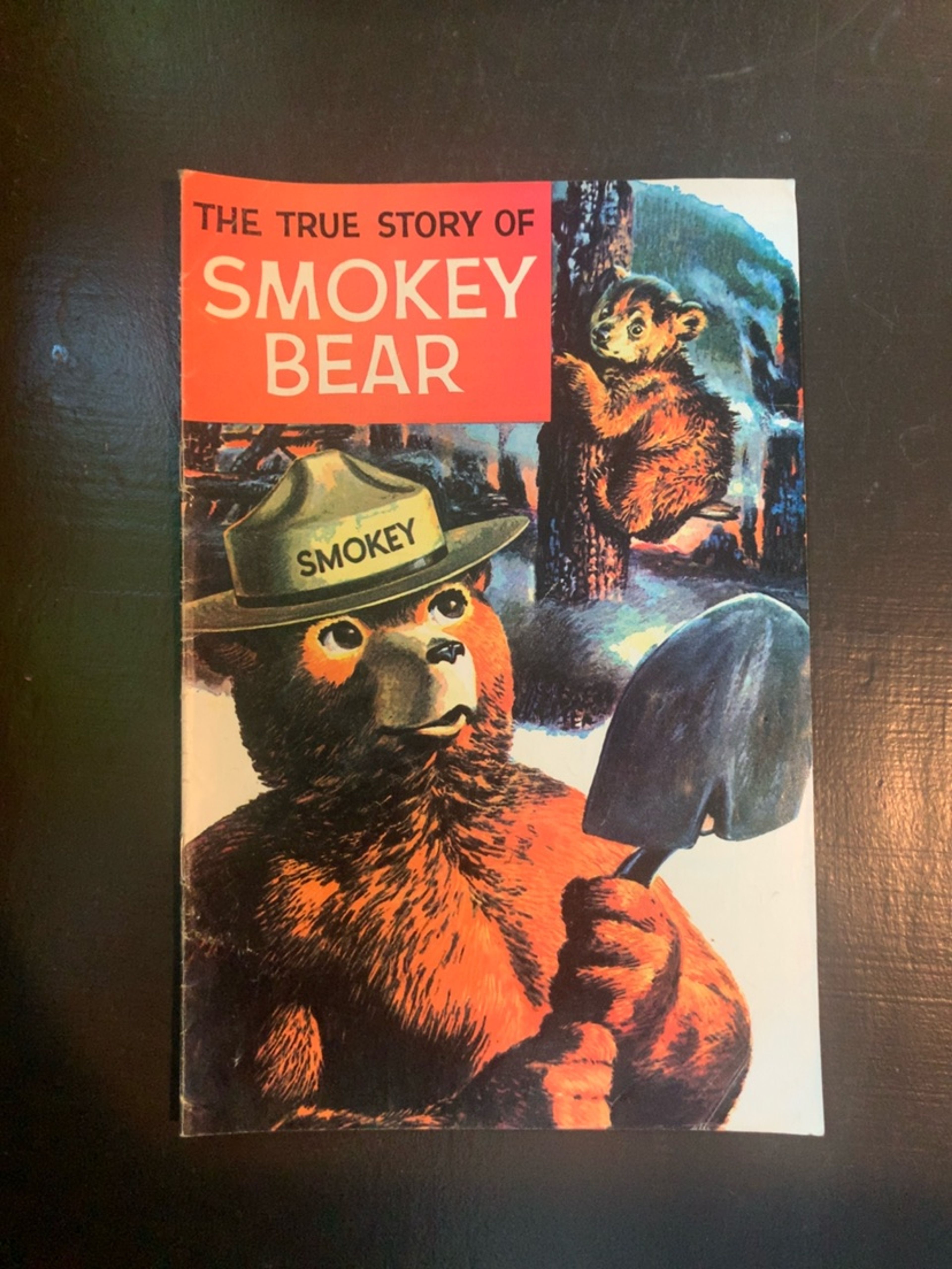 The True Story of Smokey Bear 1969 Comic Book