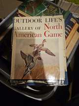 Outdoor Life's Gallery of North American Game - Image 2