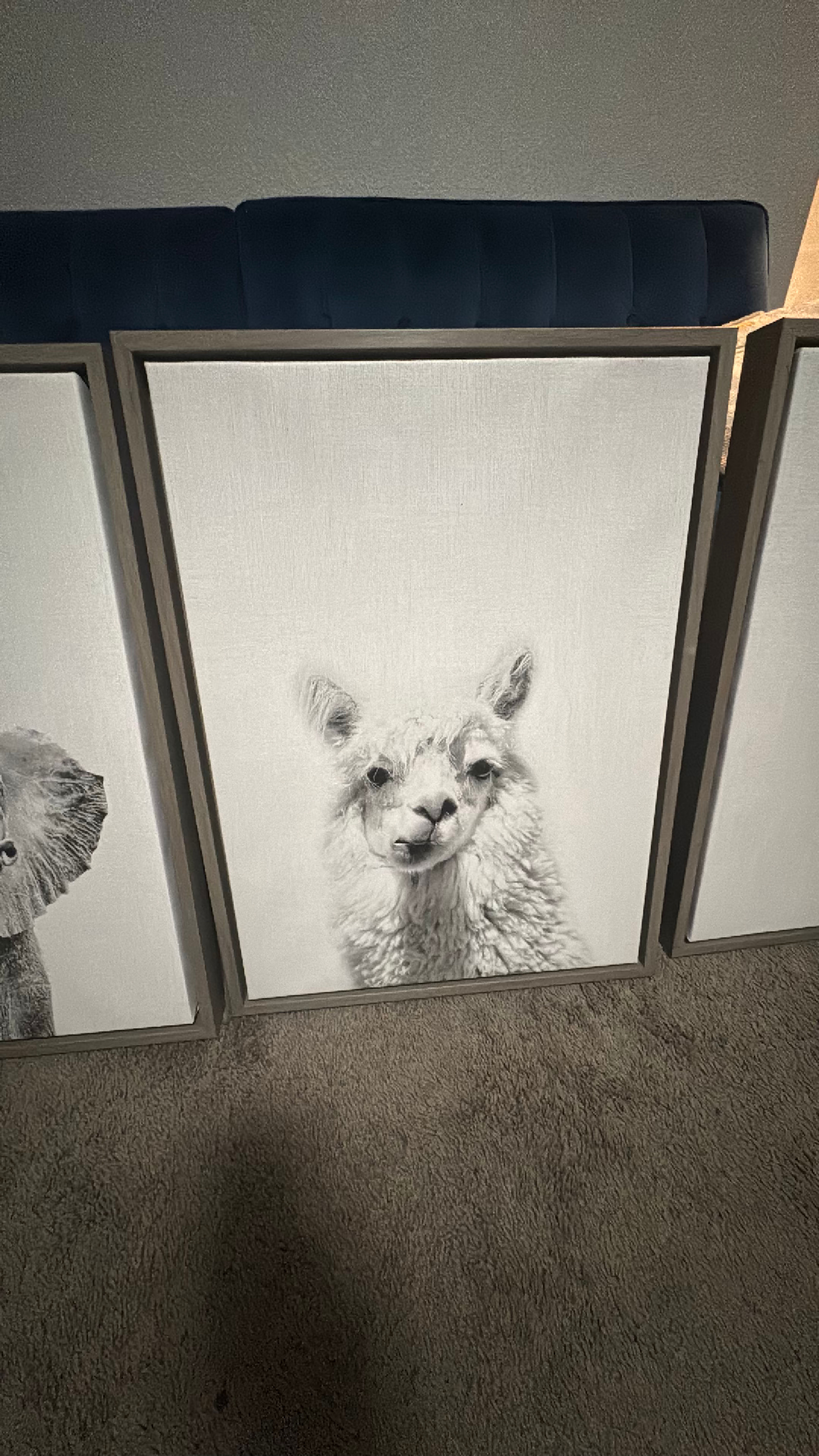 Framed Black and White Baby Animal Canvas Art Set of 4 - Image 4