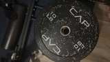 CAP Bumper plates 45x2 25x2 10x2 160lb total - Image 3