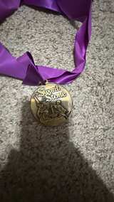 Disney The Sword in the Stone Commemorative Medal - Image 3