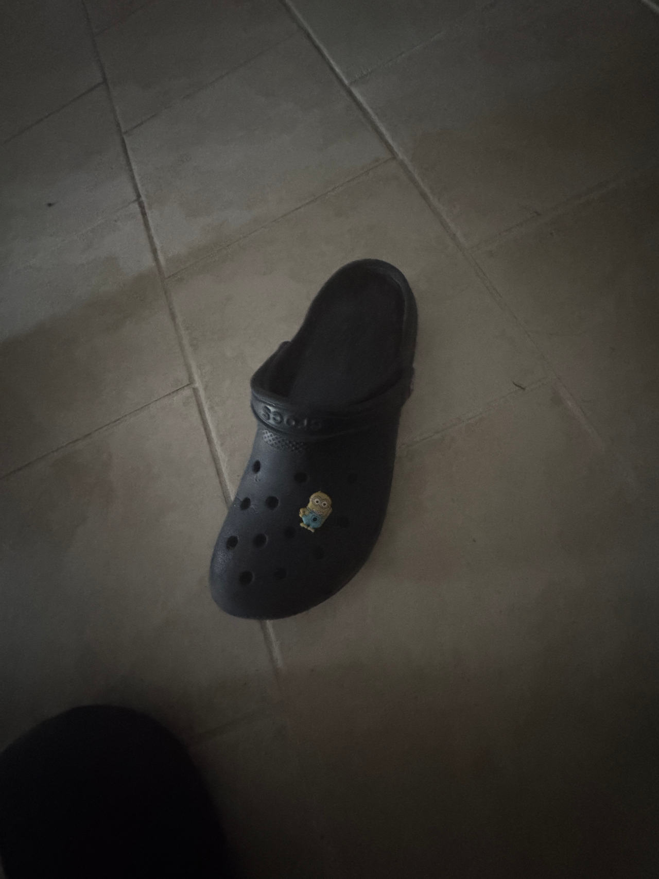 Crocs Classic Clog