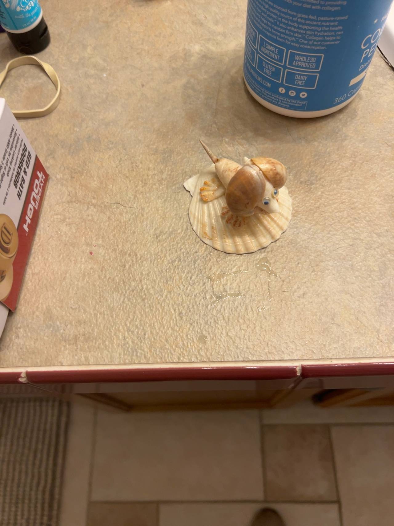 Seashell Turtle Figurine.