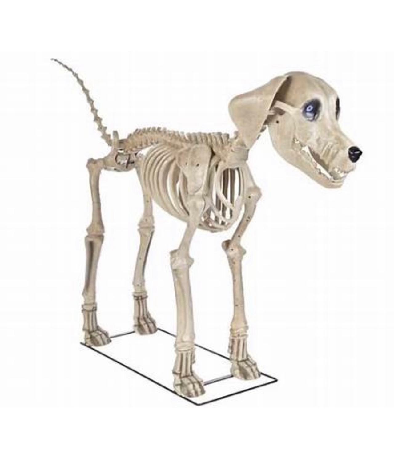 Home Accents Holiday 7 ft. Skeleton Dog