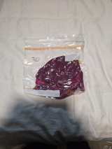 Victoria's Secret Lace Bodysuit - Image 1