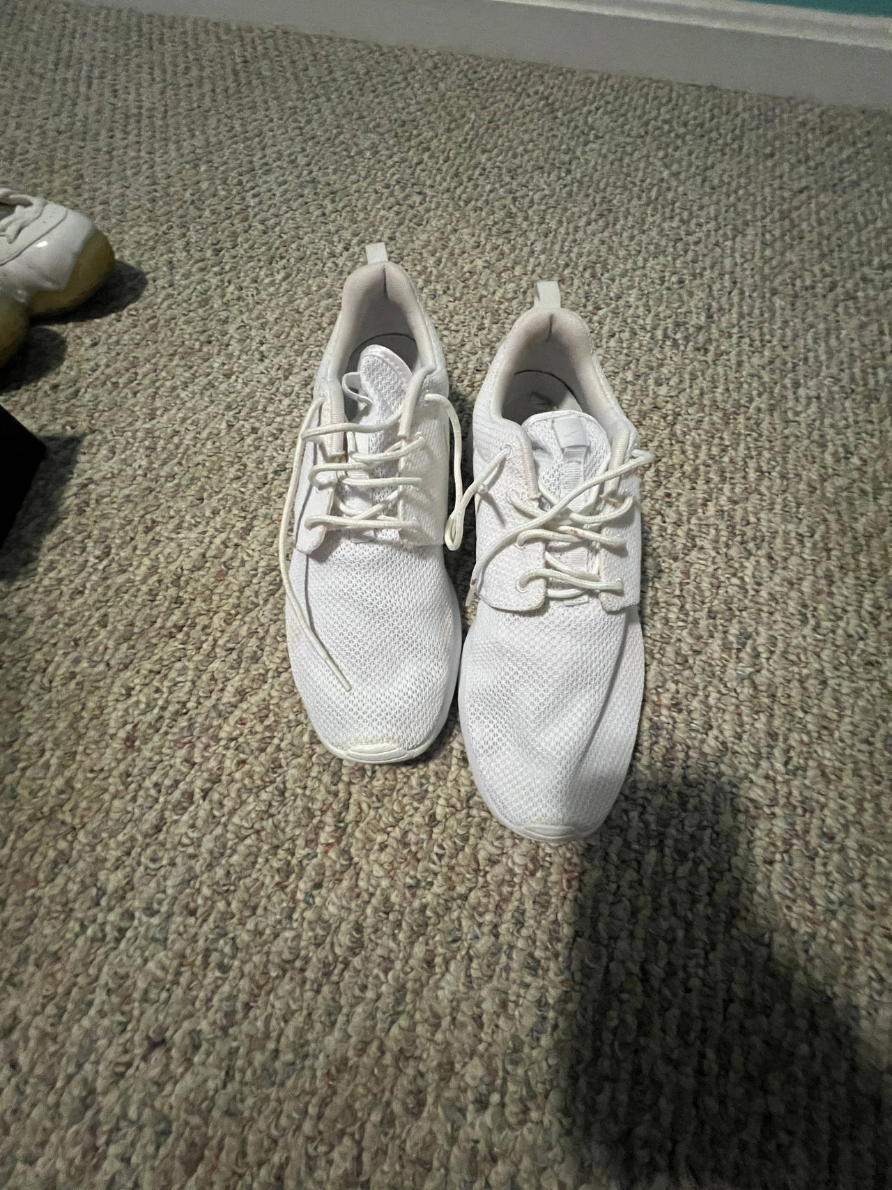 Nike Roshe One size 11
