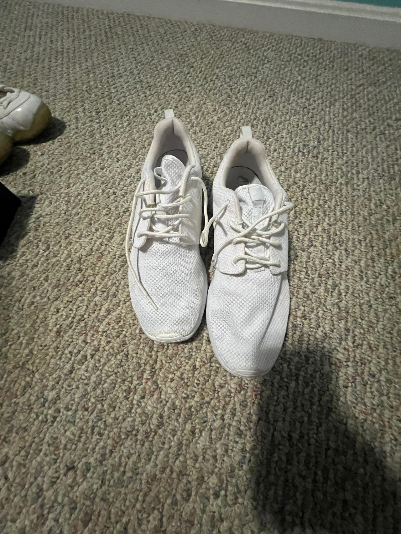 Nike Roshe One size 11
