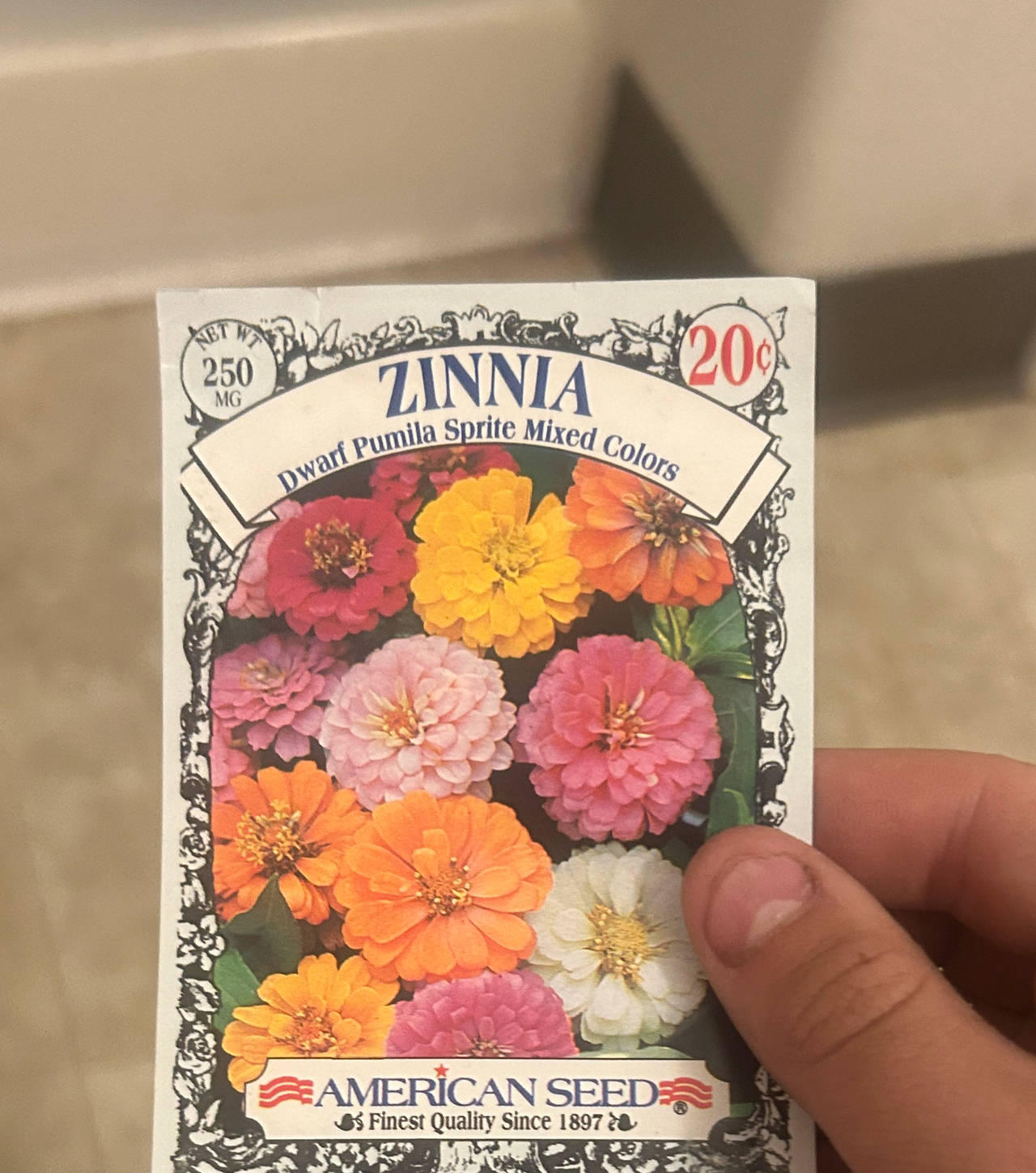 American Seed Zinnia Dwarf Pumila Sprite Mixed Colors