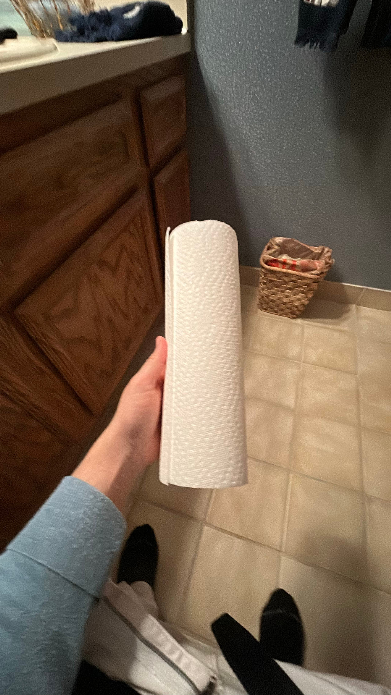 Paper Towel Roll