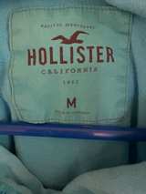Hollister Light Blue Seagull Logo Hoodie - Image 5