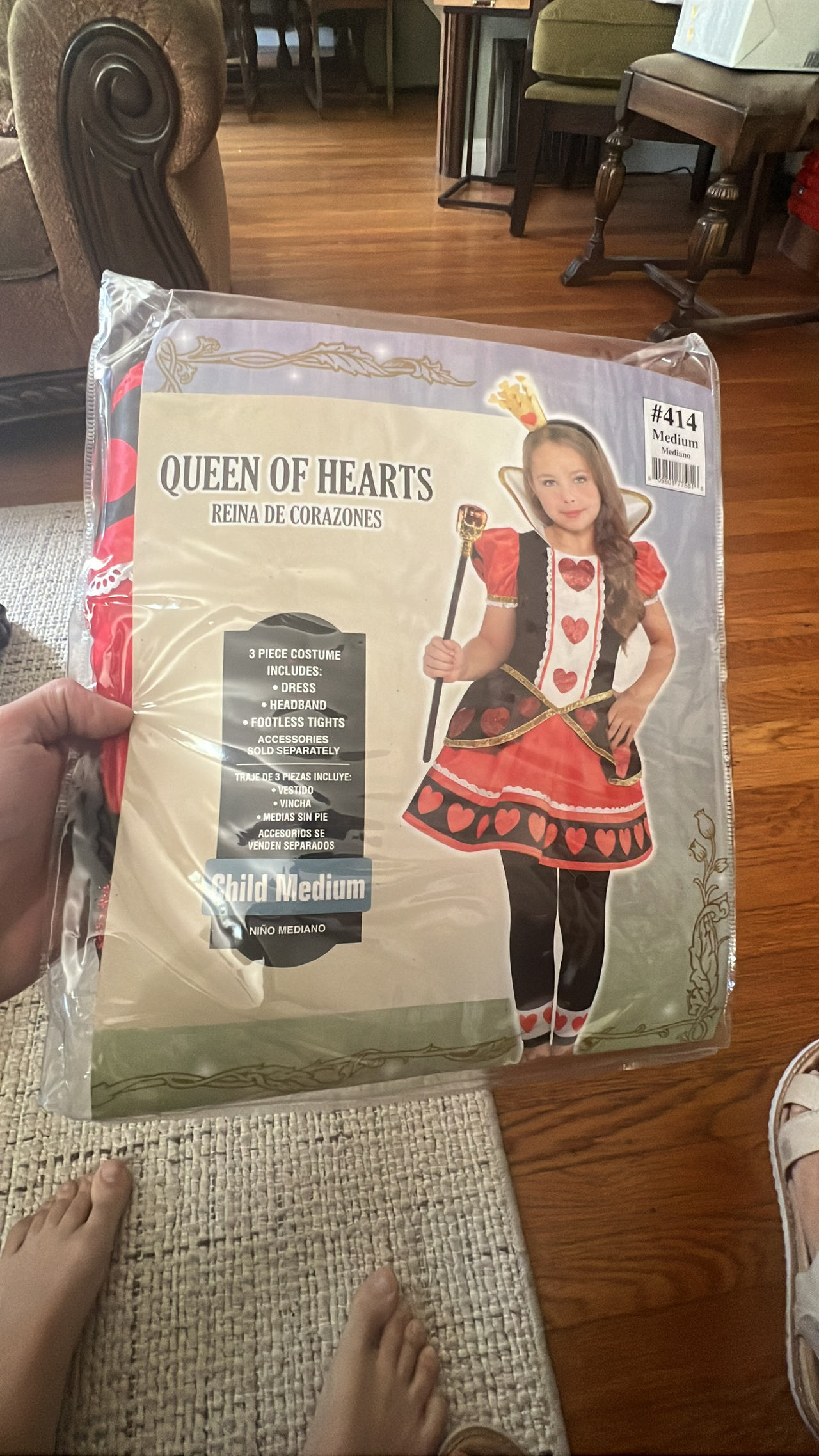 Queen of Hearts Child Costume