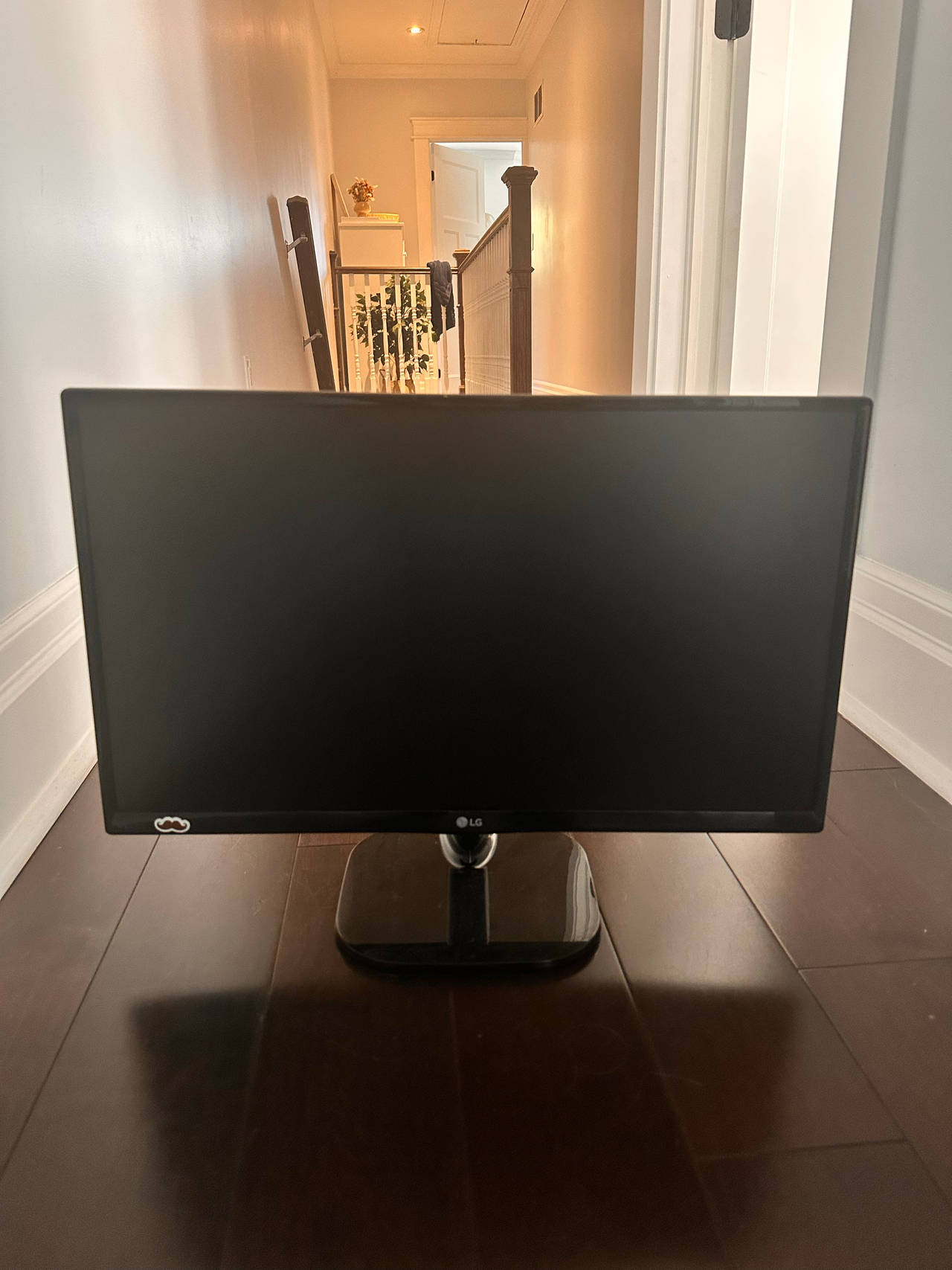 24” LG LED HD Monitor