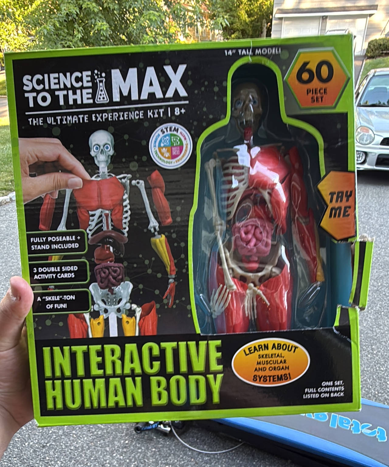 Science to the Max Interactive Human Body Kit