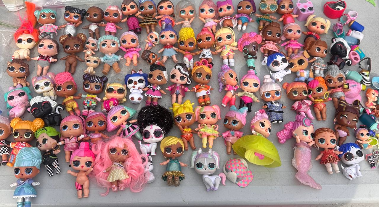 L.O.L. Surprise! Dolls and Pets Lot