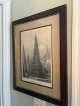Antique Picea Bracteata Botanical Lithograph by W. Richardson - Image 2