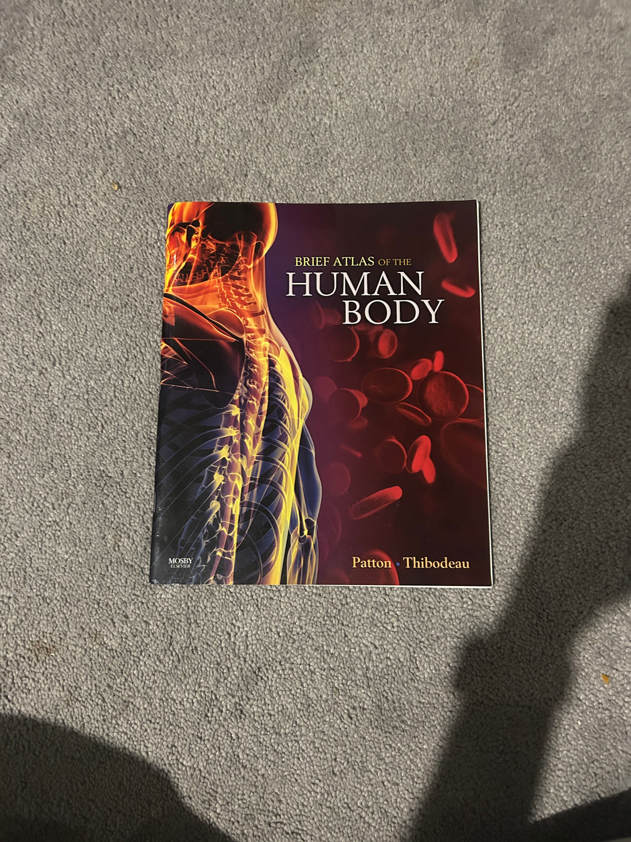 Brief Atlas of the Human Body