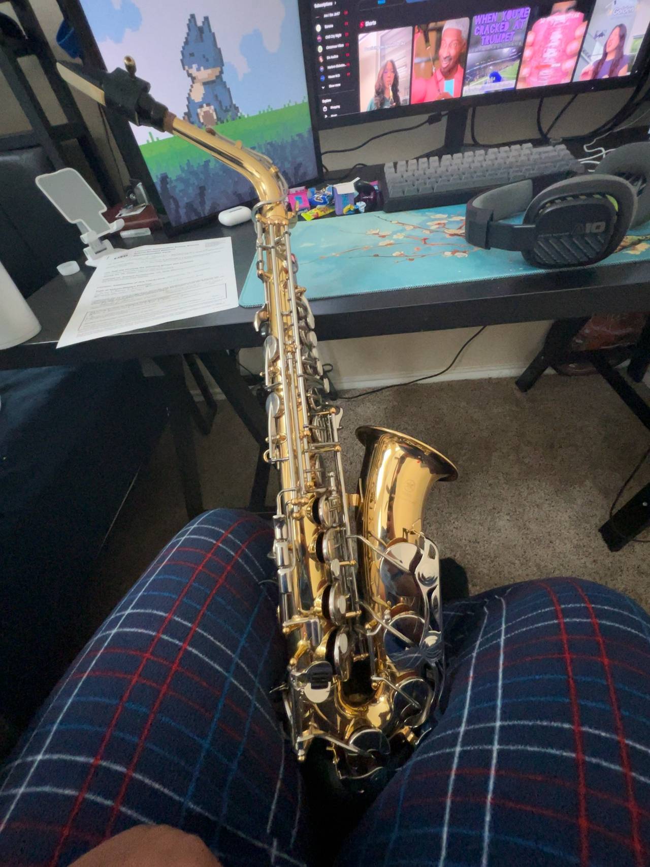 Selmer Alto Saxophone
