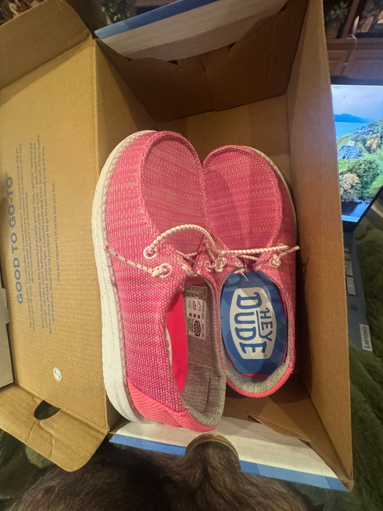 Hey Dude Shoes: size Youth 