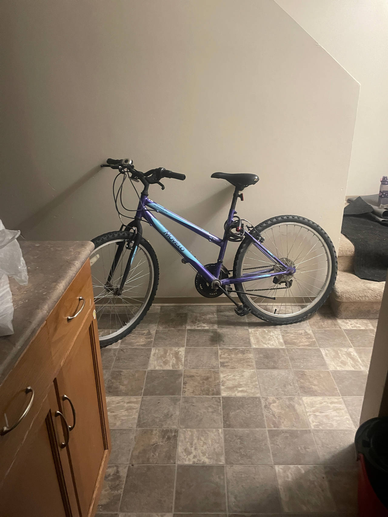 Hyper Shocker Mountain Bike