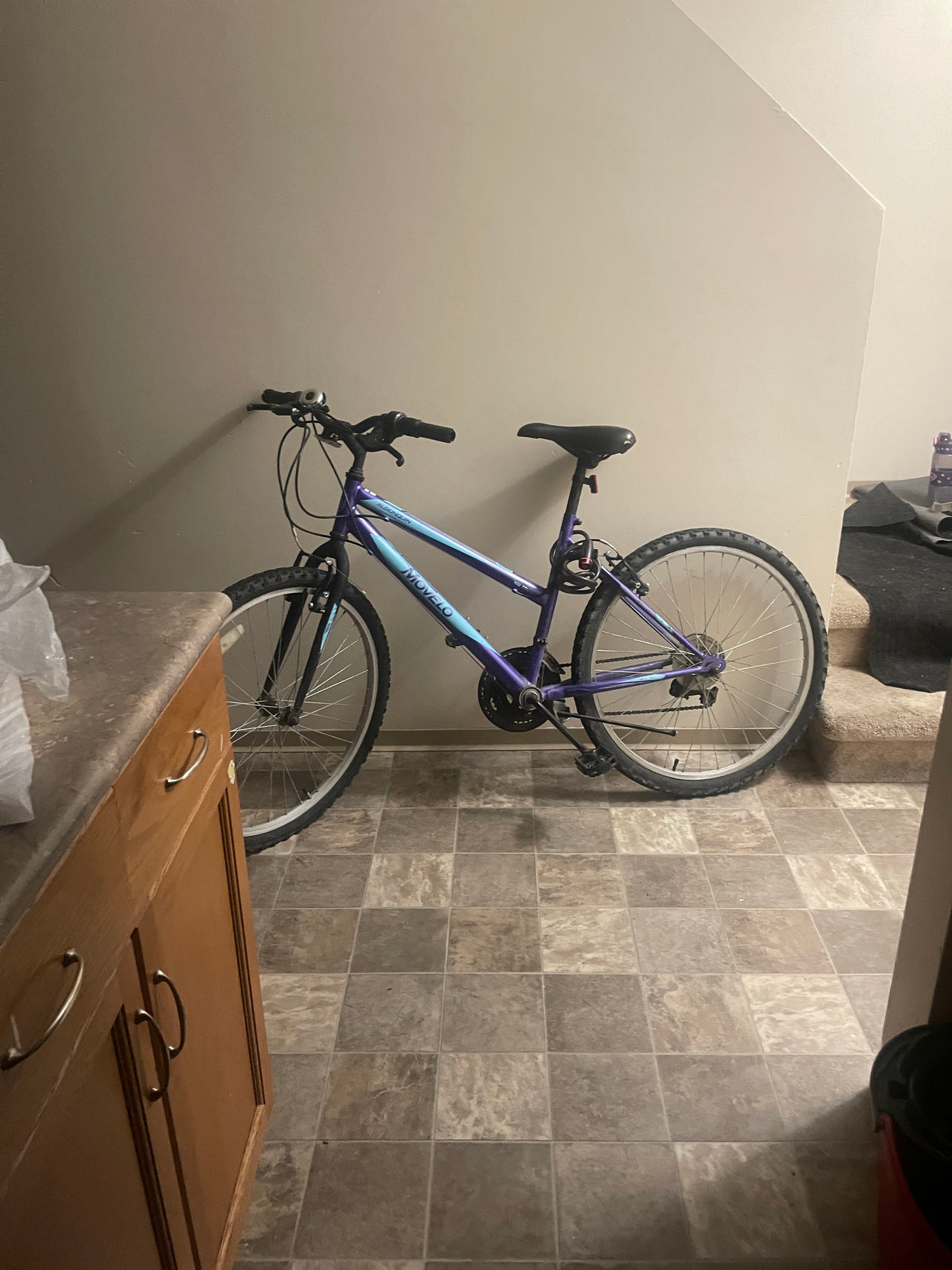 Hyper Shocker Mountain Bike