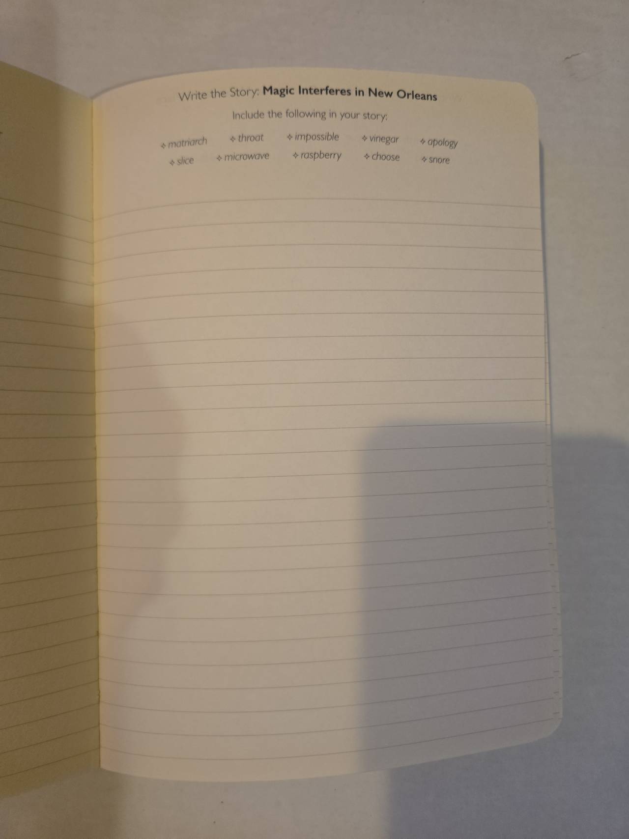 Piccadilly Write the Story Creative Writing Journal