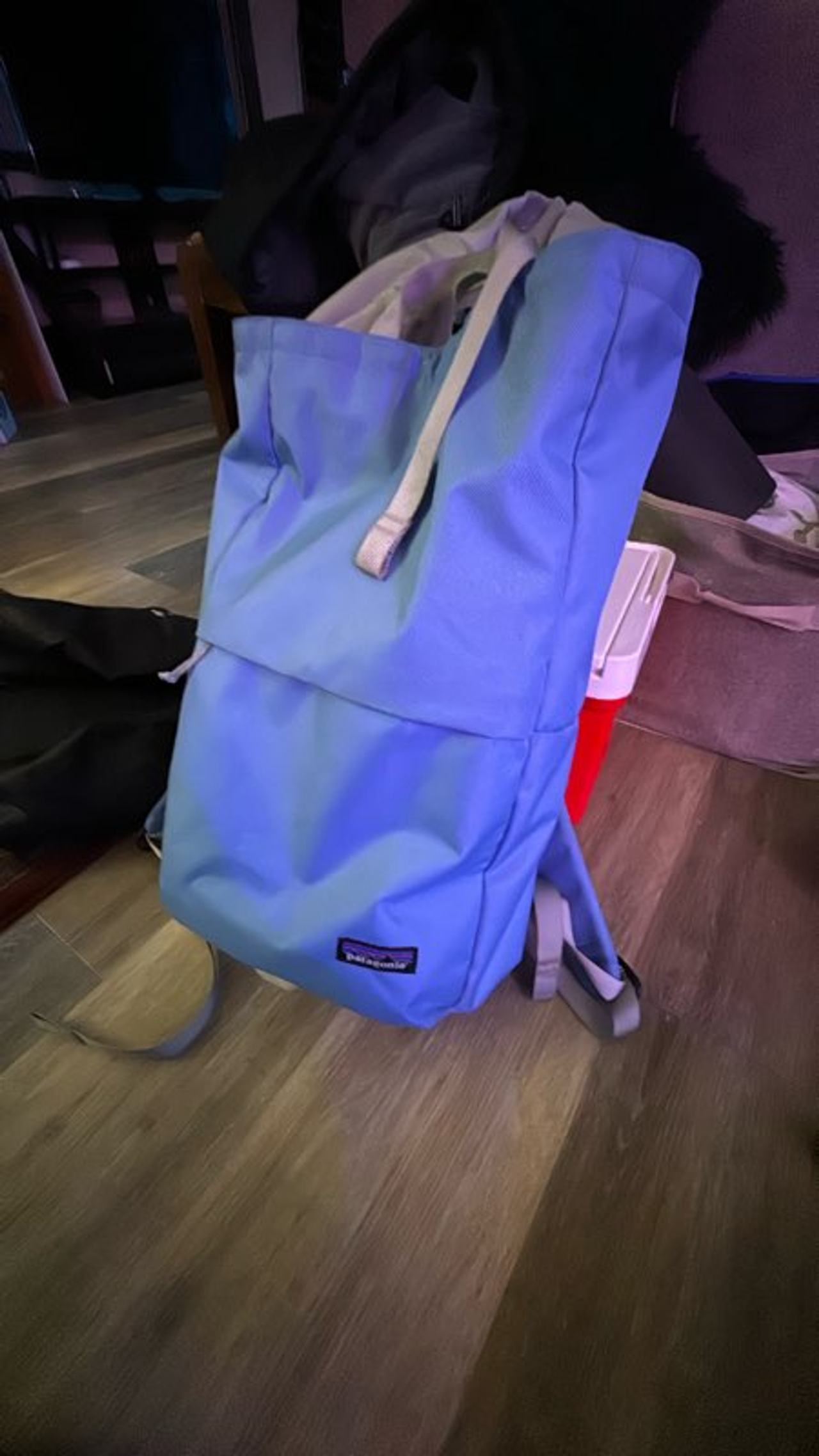 Patagonia Arbor Grande Backpack
