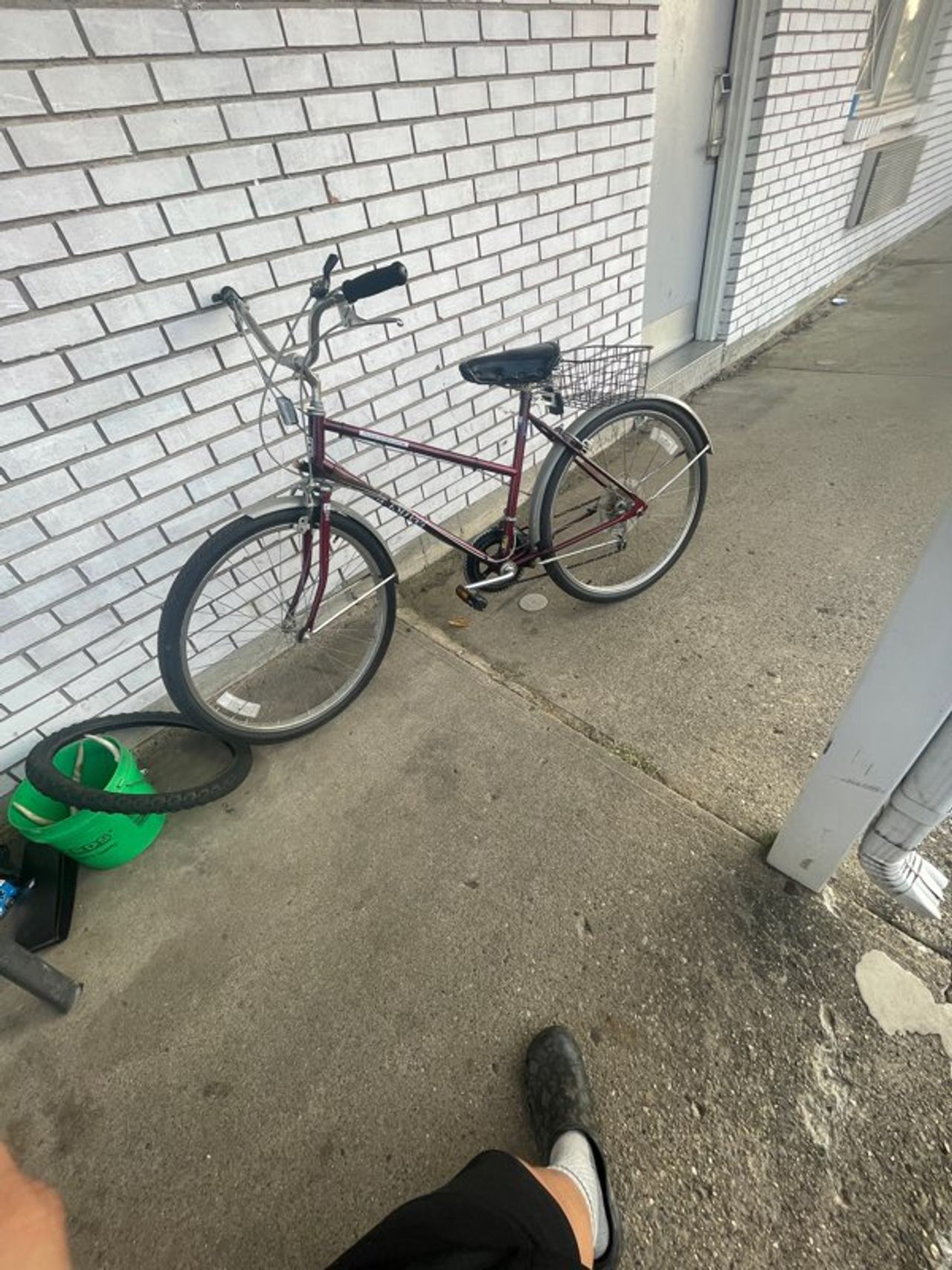 Cruiser Bicycle