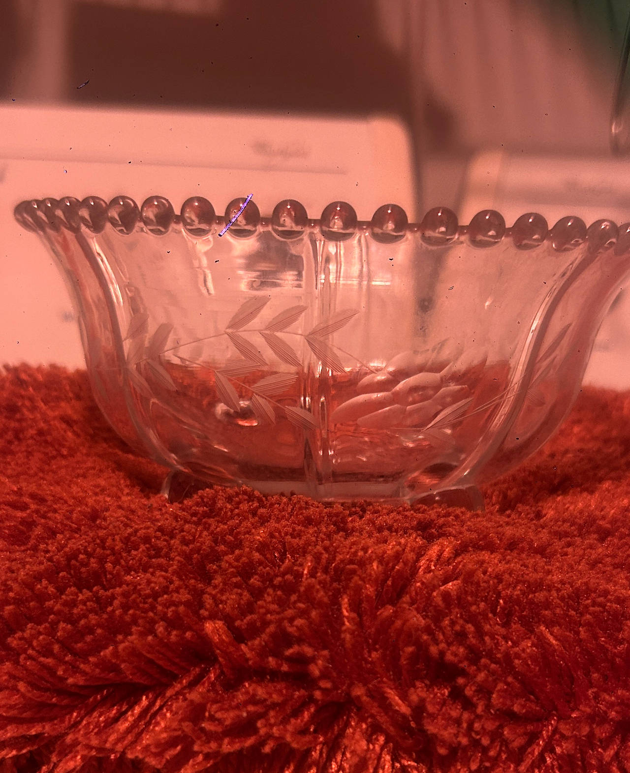 W.J. Hughes Corn Flower Etched Glass Bowl with Beaded Rim