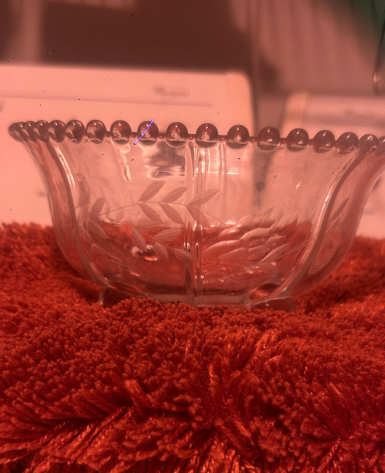 W.J. Hughes Corn Flower Etched Glass Bowl with Beaded Rim