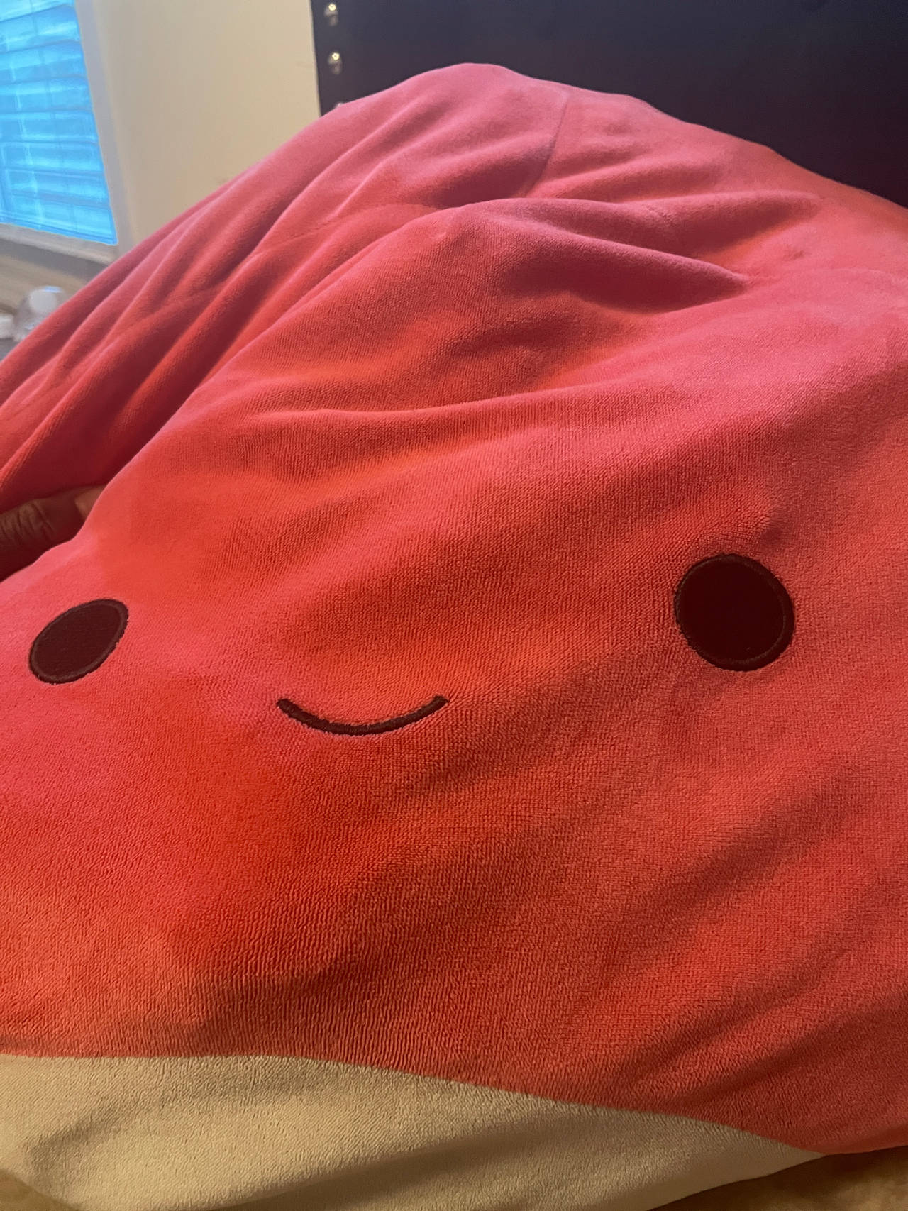 Squishmallow