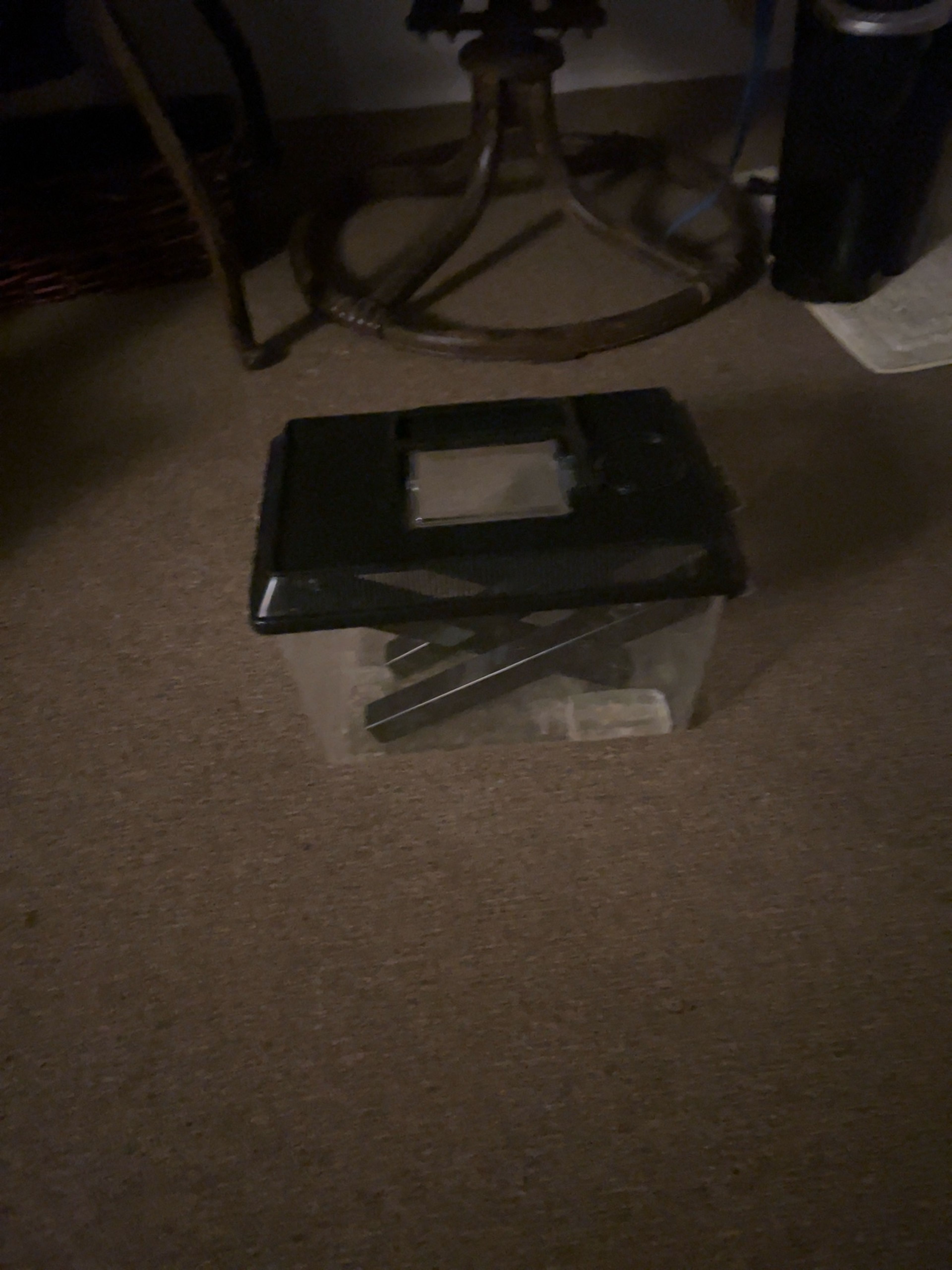 Imagitarium Cricket Pen Large Transparent Plastic