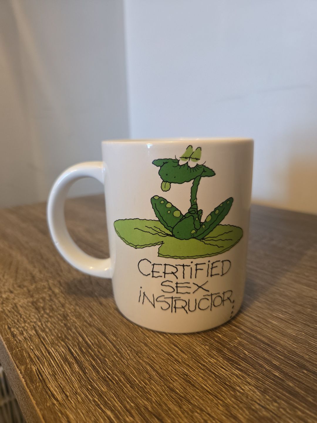 Shoebox Greetings Certified Sex Instructor Frog Mug