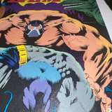 Batman #497 (July 1993) Knightfall Part 11 - Image 2