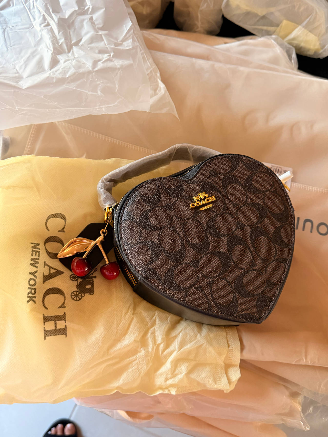 Coach Heart Crossbody in Signature Canvas with Cherry Charm